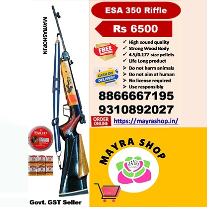 Air Rifle