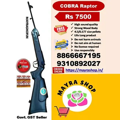 Sports Air Gun